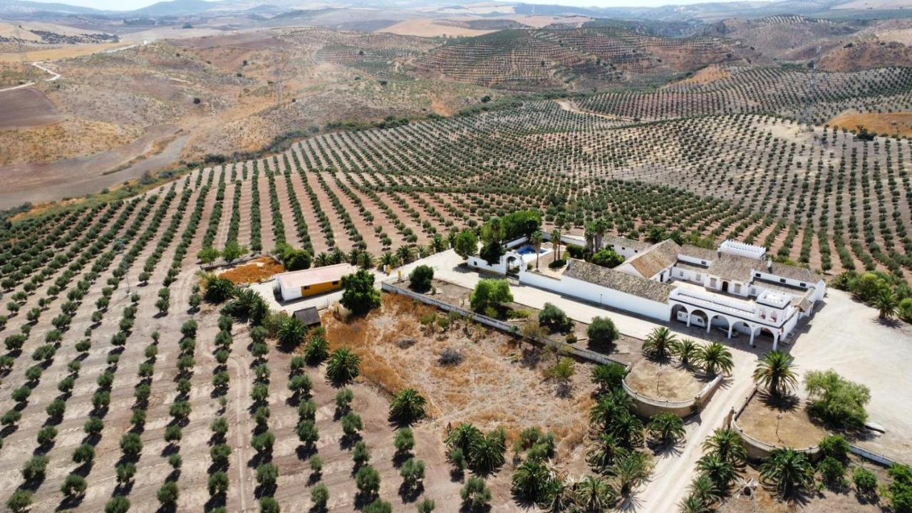 Villa Cortijo Donana à La Puebla de Cazalla Extérieur photo