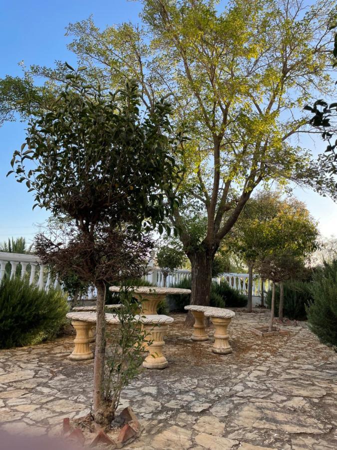 Villa Cortijo Donana à La Puebla de Cazalla Extérieur photo